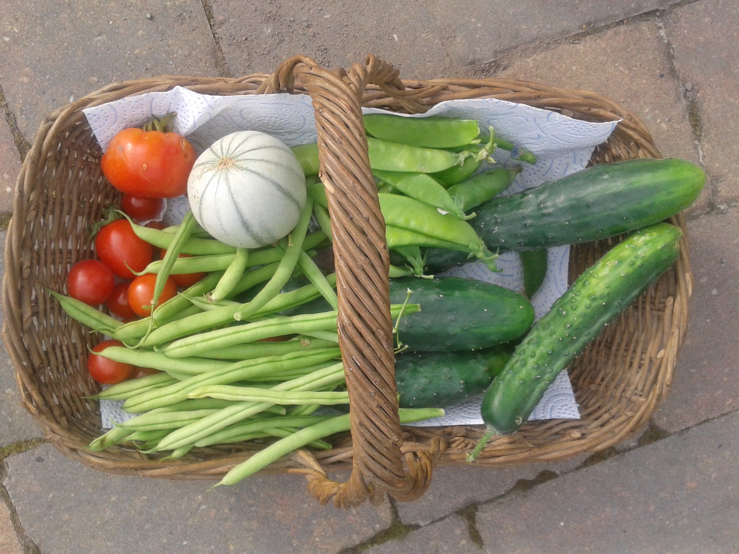 basket-of-veg